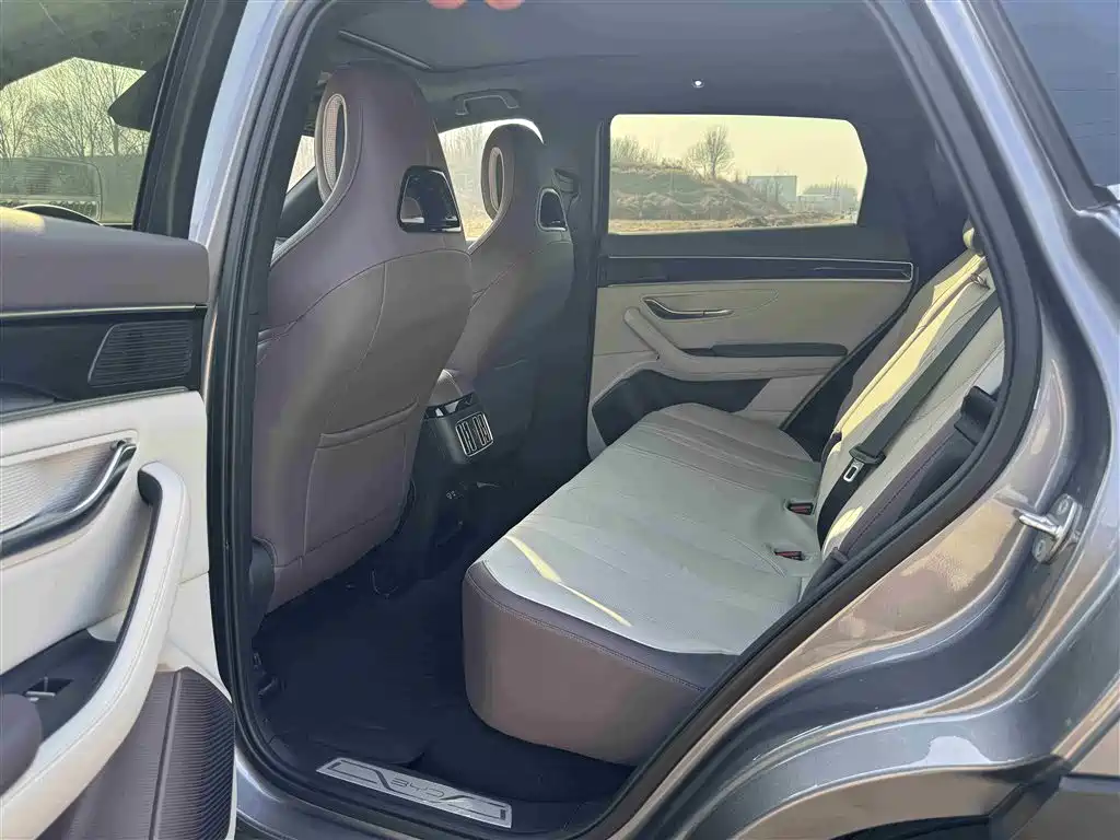 BYD SONGJIANG NEW ENERGY