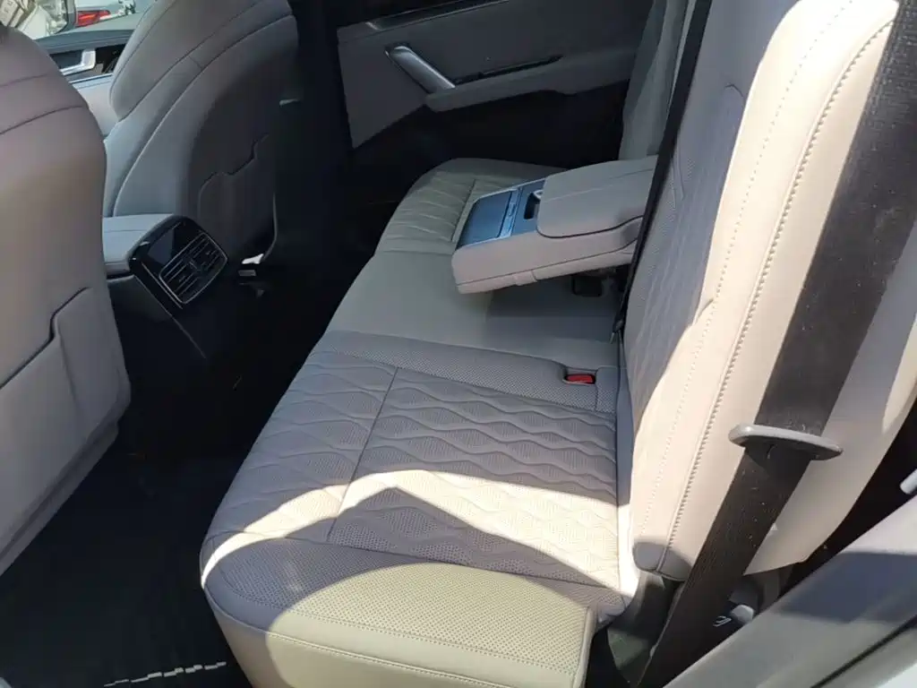 BYD Tang New Energy — миниатюра 17