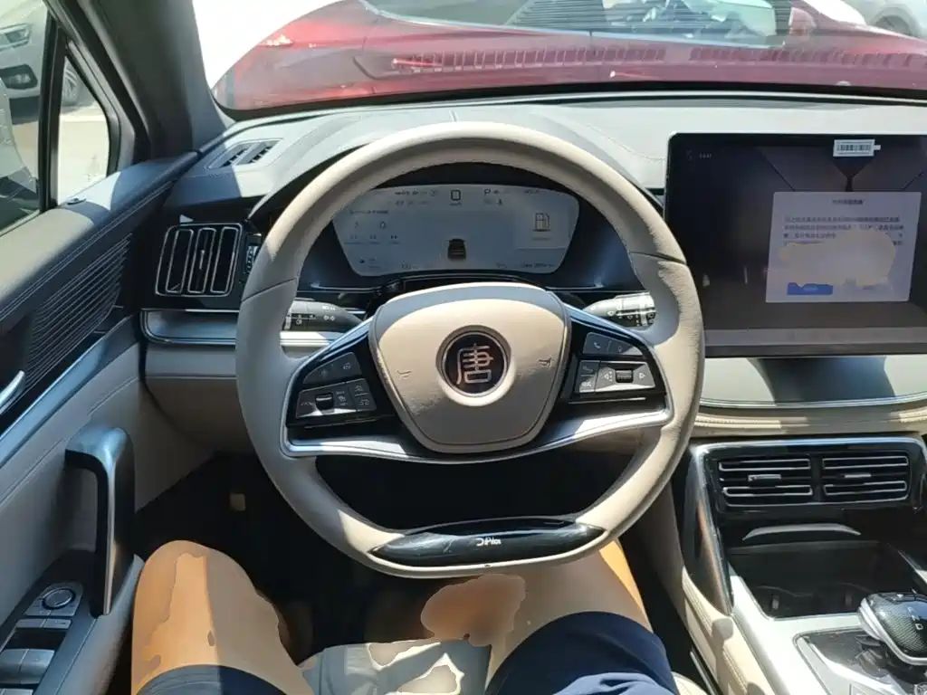 BYD Tang New Energy — миниатюра 11