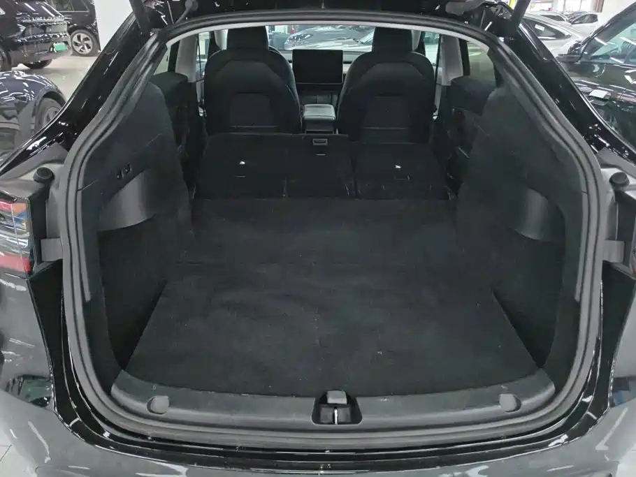 Tesla Model Y — миниатюра 4