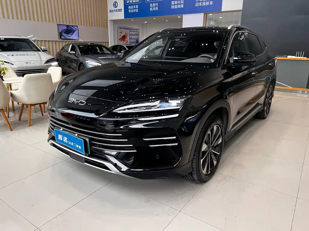 BYD PLUS New Energy 2025
