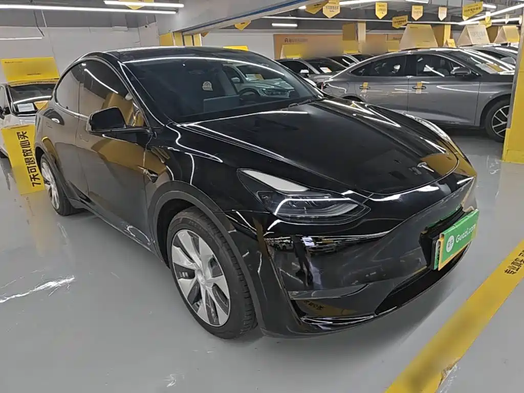Tesla Model Y — миниатюра 4