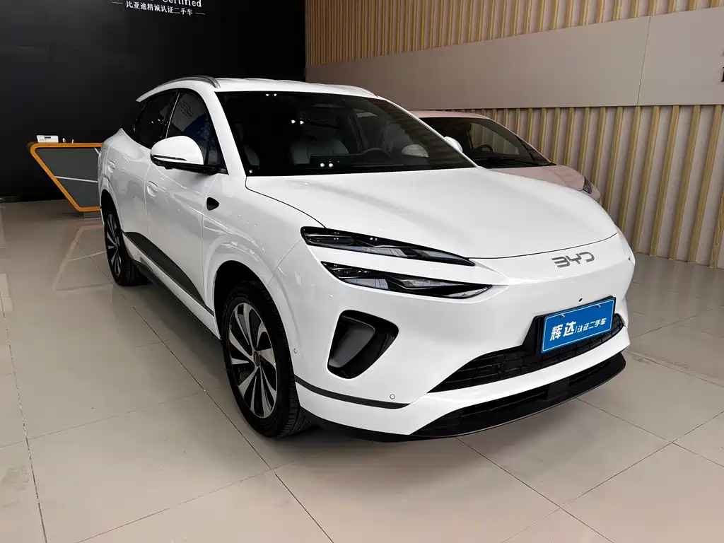 BYD SEA LION 06 NEW ENERGY