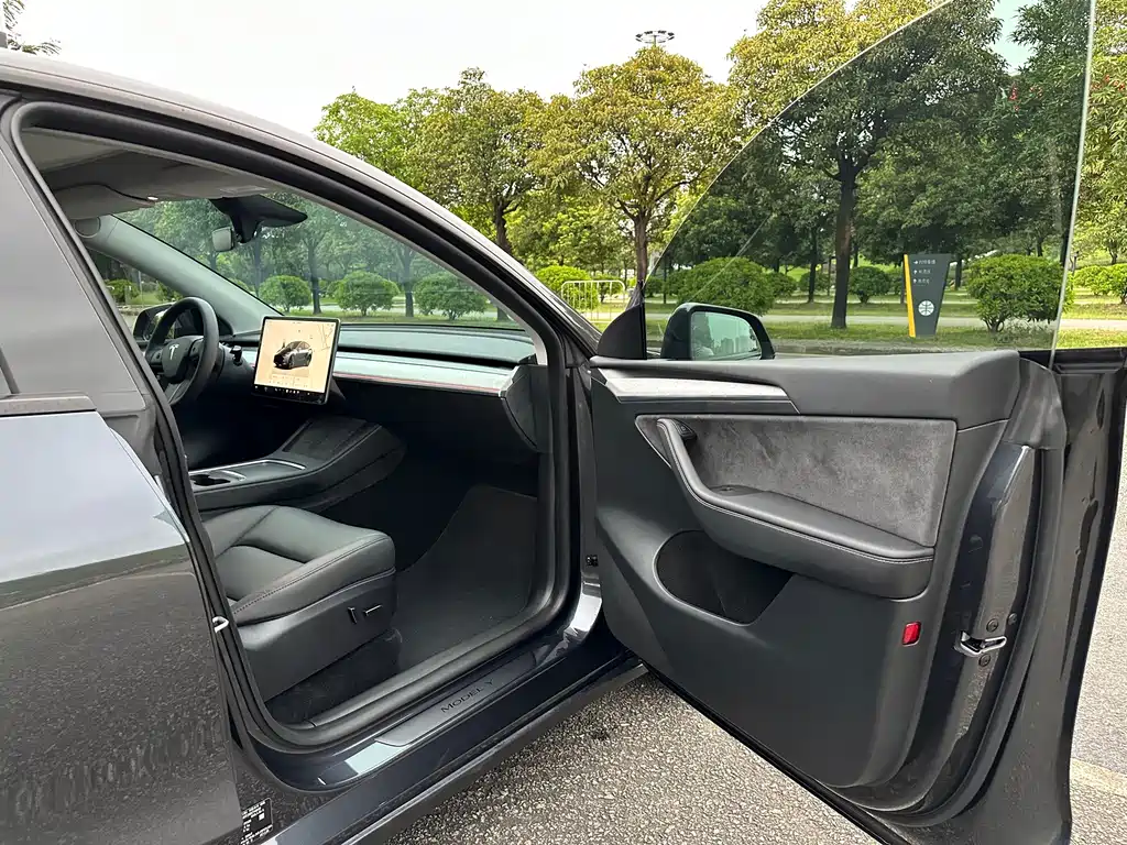 Tesla Model Y — миниатюра 11