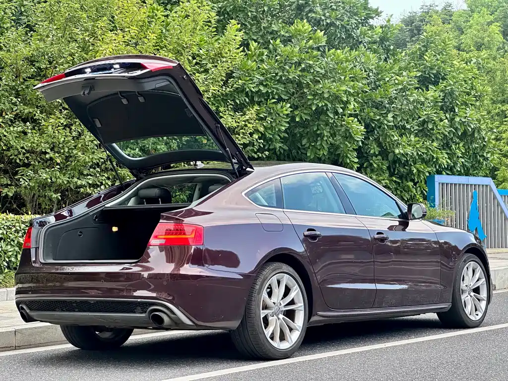 Audi A5 (Import) — миниатюра 6