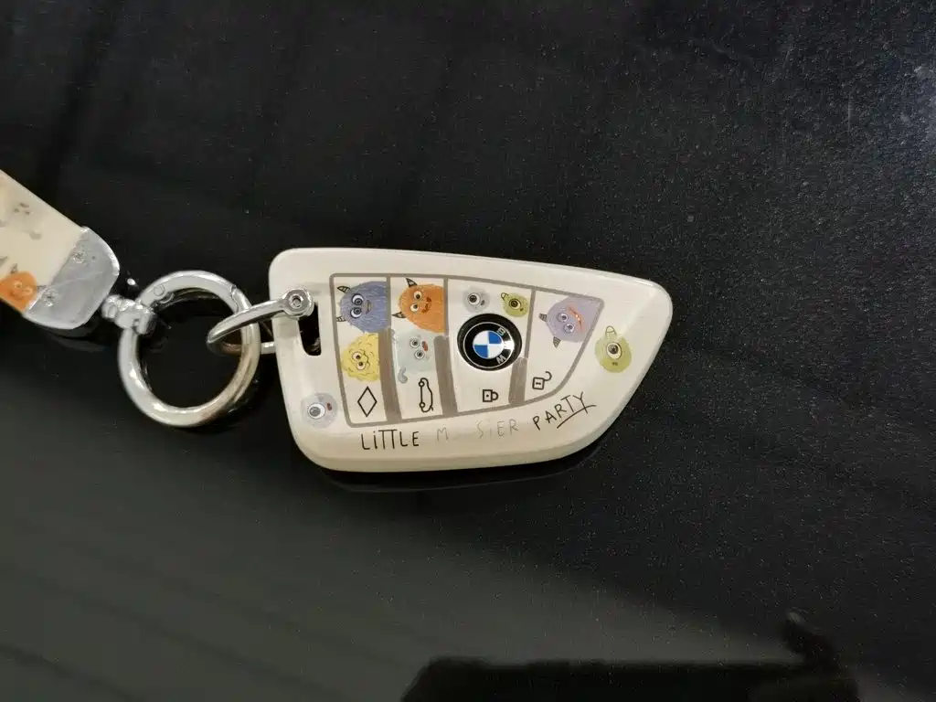BMW X3 — миниатюра 19