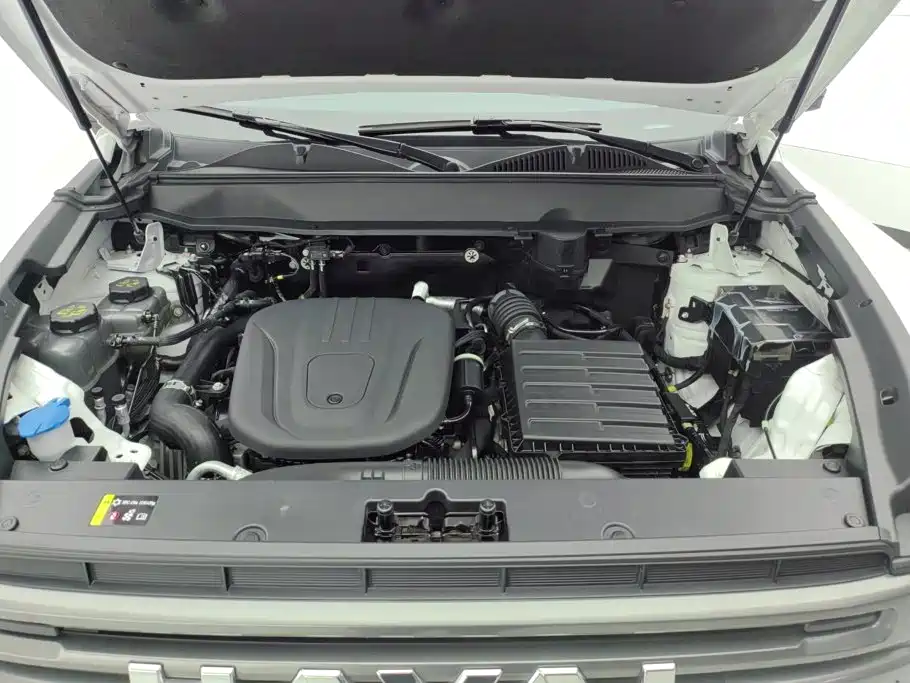 Haval Menglong New Energy — миниатюра 10