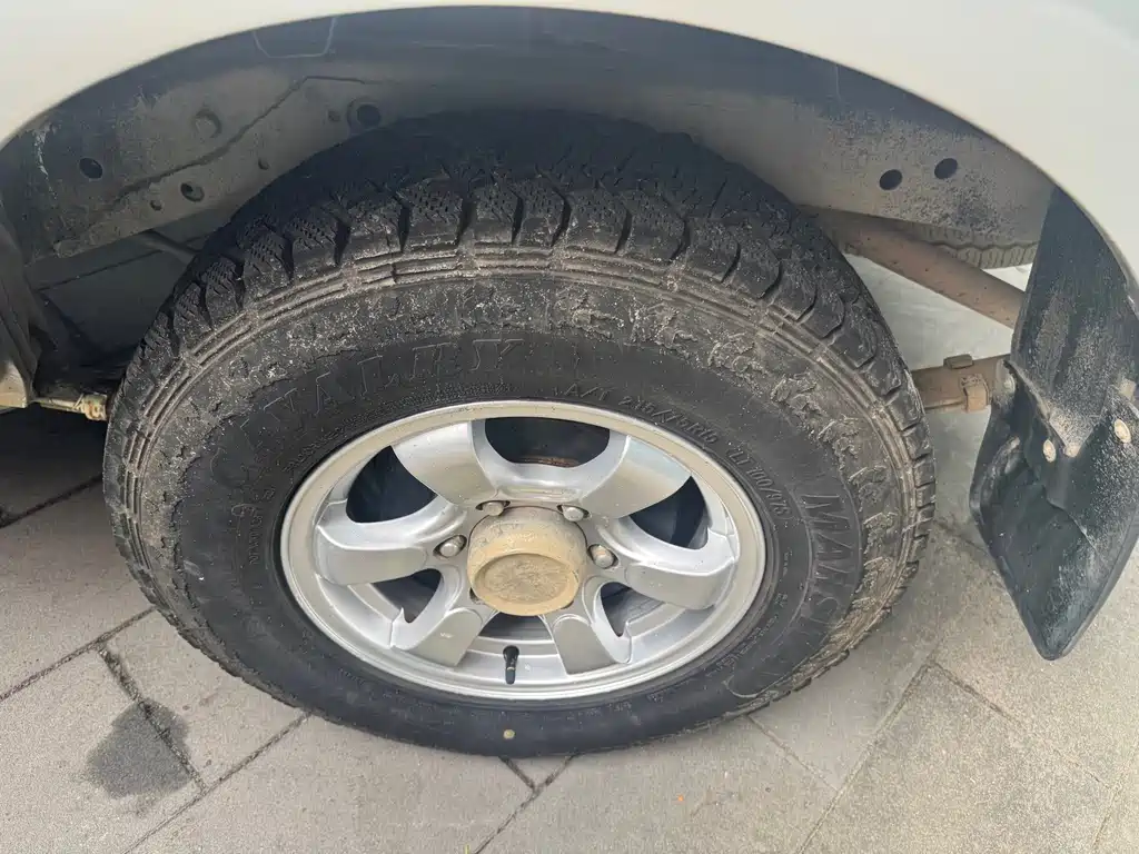 Dongfeng Rich — миниатюра 5