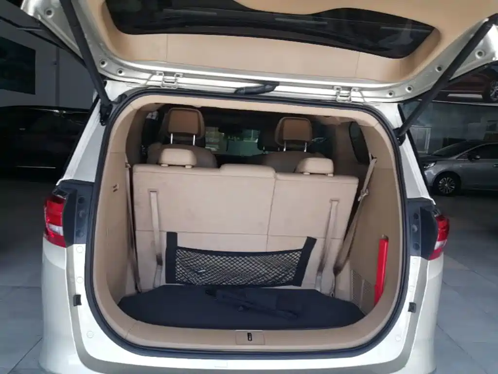Buick GL8 — миниатюра 19