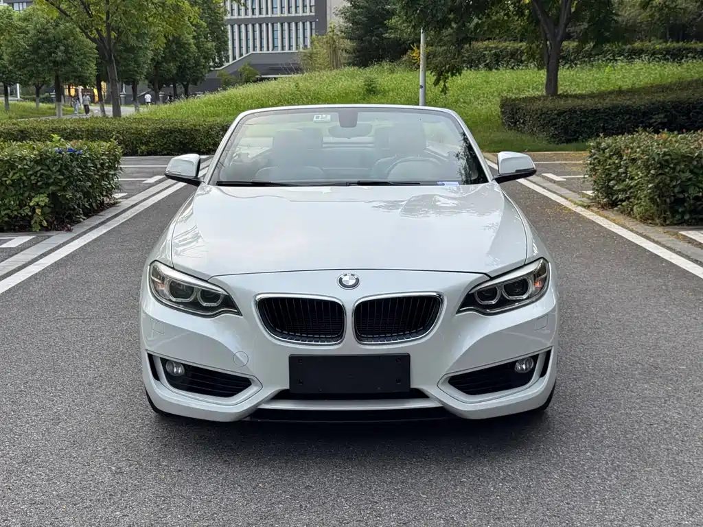BMW 2 Series (Import) — миниатюра 2