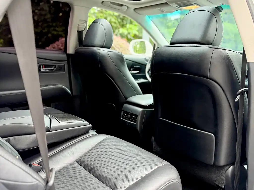 Lexus RX Classic — миниатюра 20