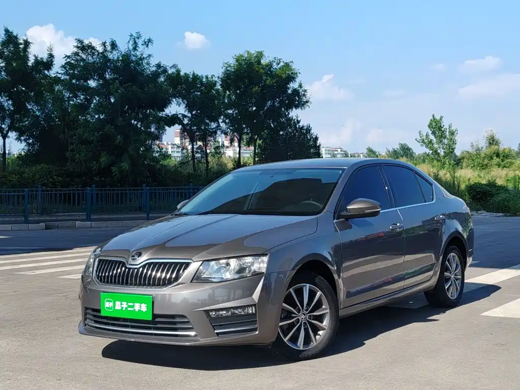 Skoda Octavia — миниатюра 2