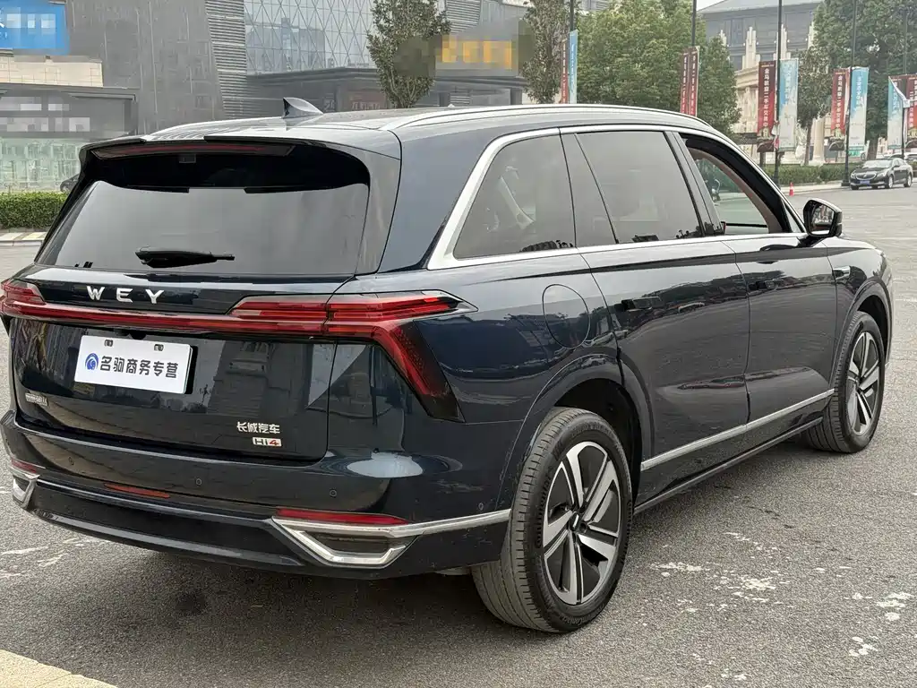 WEI PAI WEI BRAND BLUE MOUNTAIN