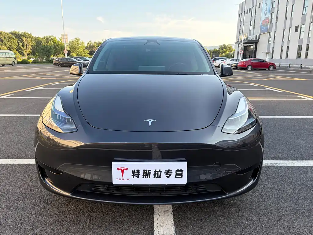 Tesla Model Y — миниатюра 2