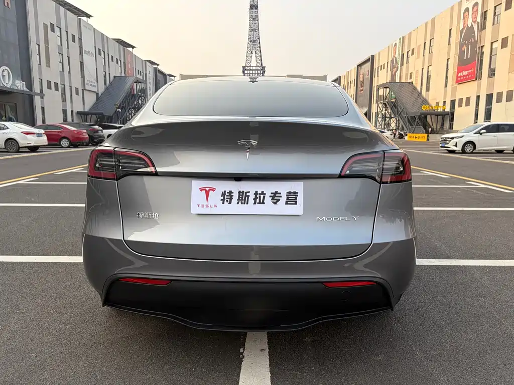 Tesla Model Y — миниатюра 5