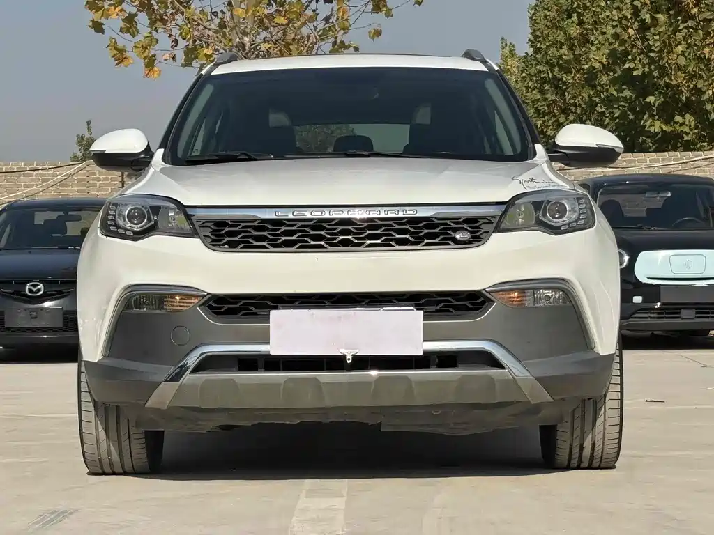 CHEETAH CARS CHEETAH CS10