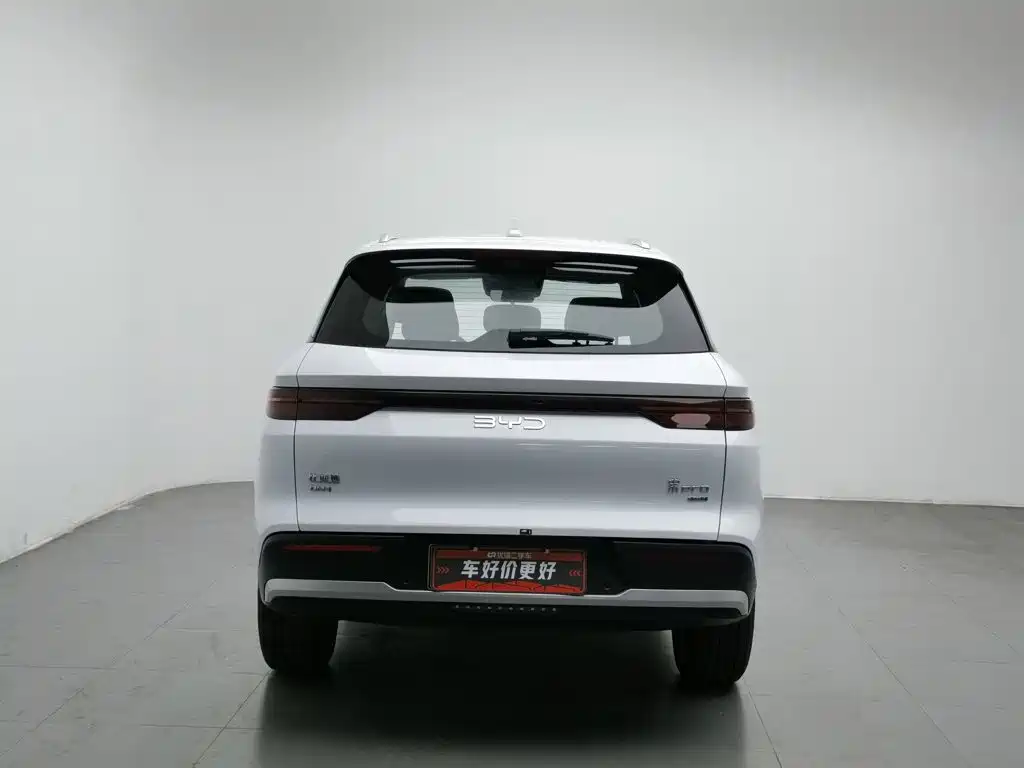 BYD Pro New Energy — миниатюра 4