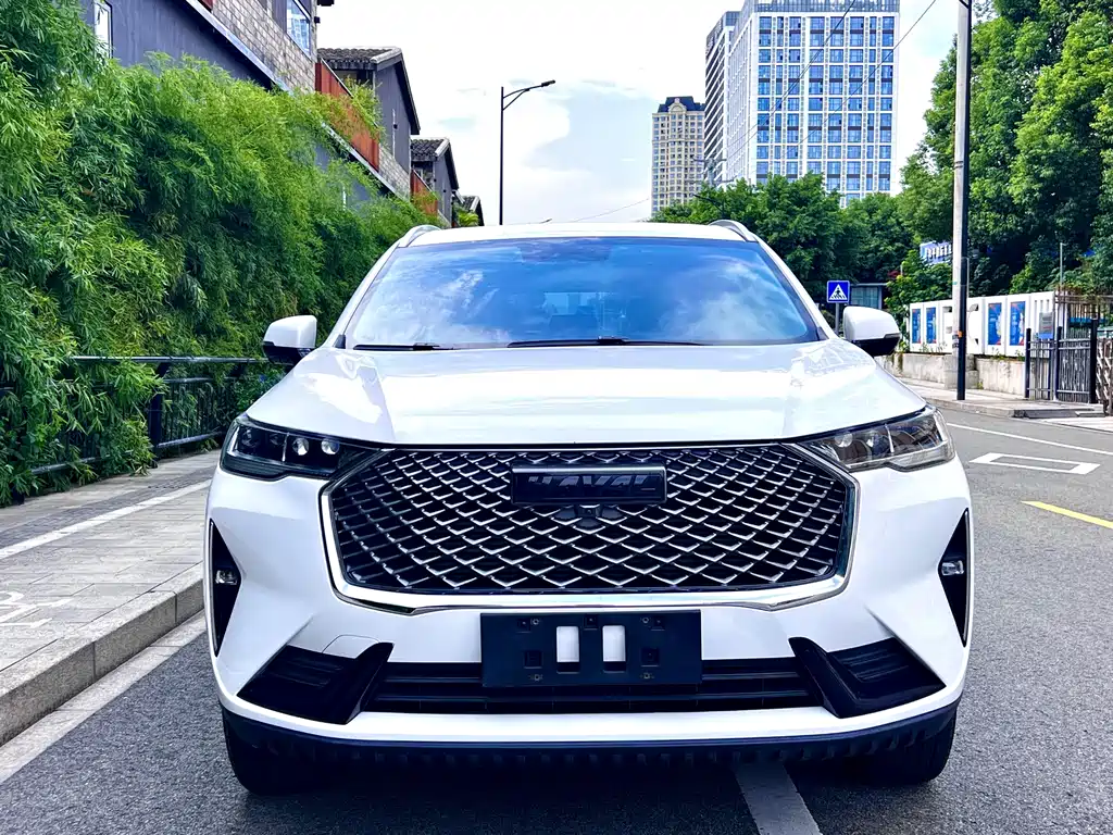 Haval H6 — миниатюра 2