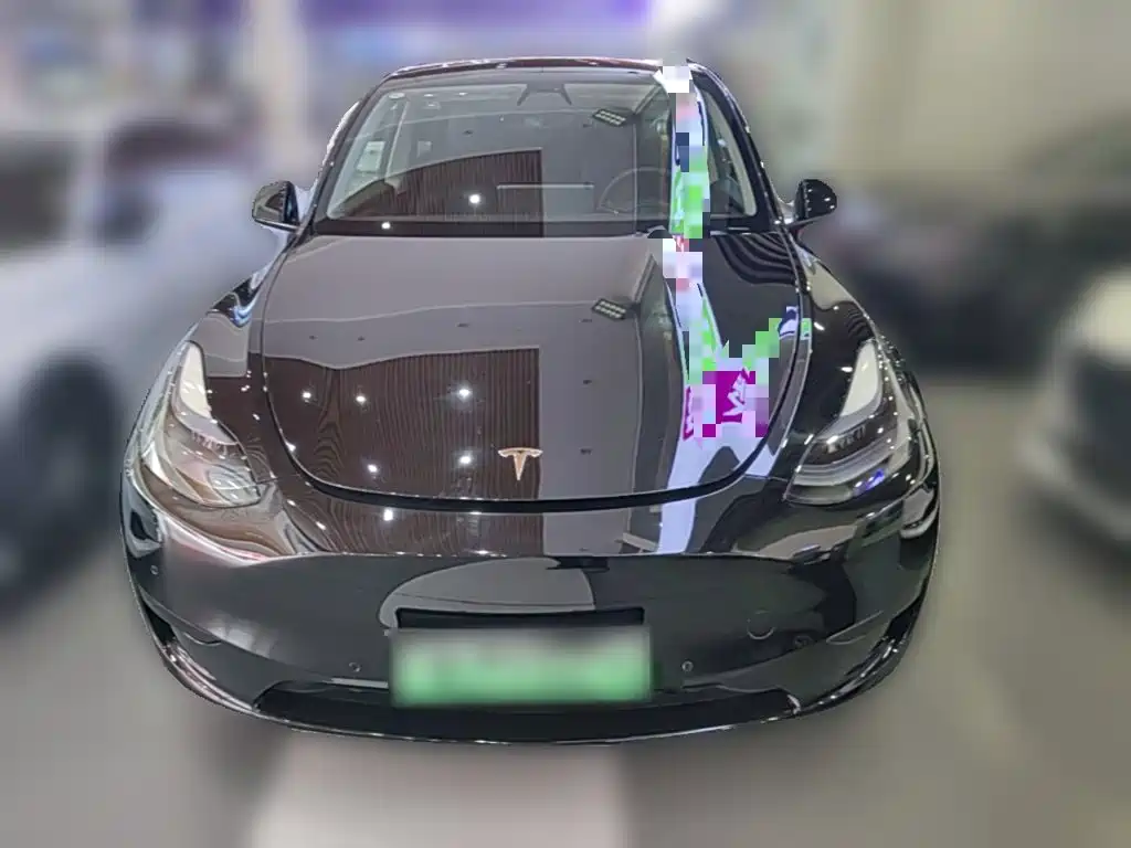 Tesla Model Y — миниатюра 5