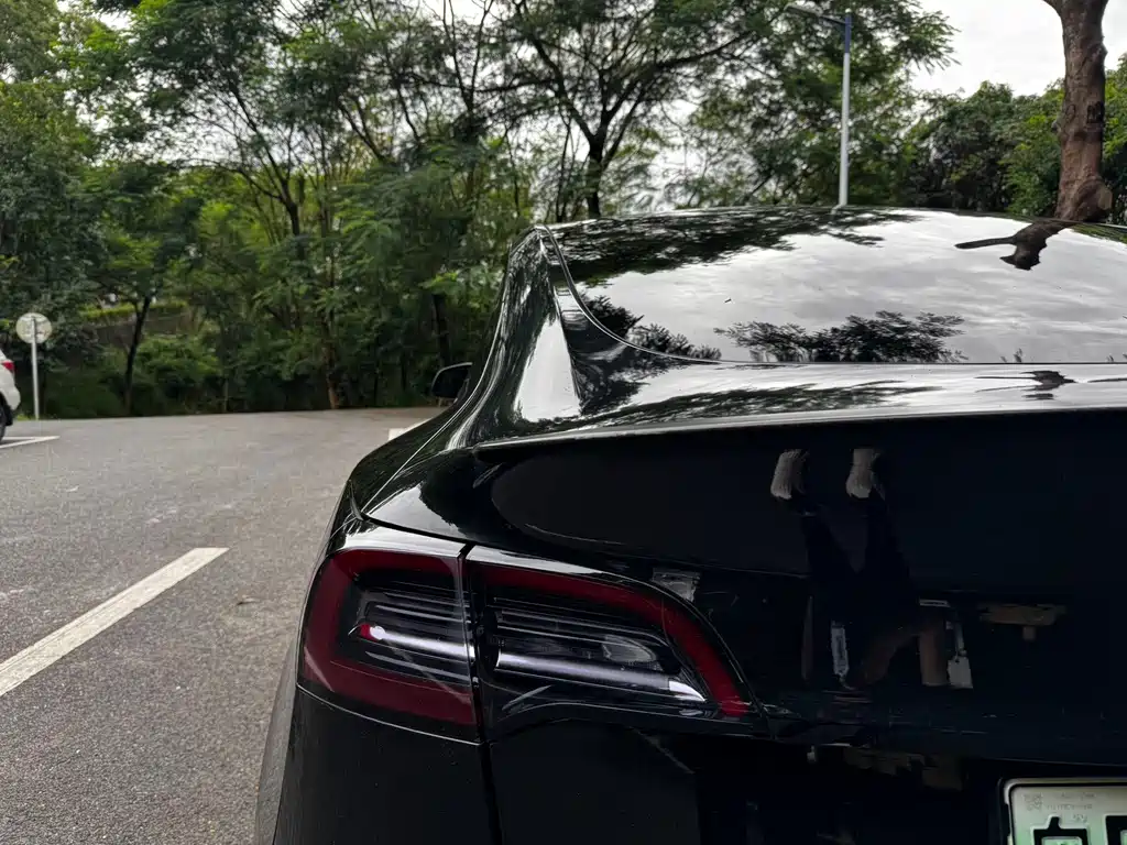 Tesla Model Y — миниатюра 17