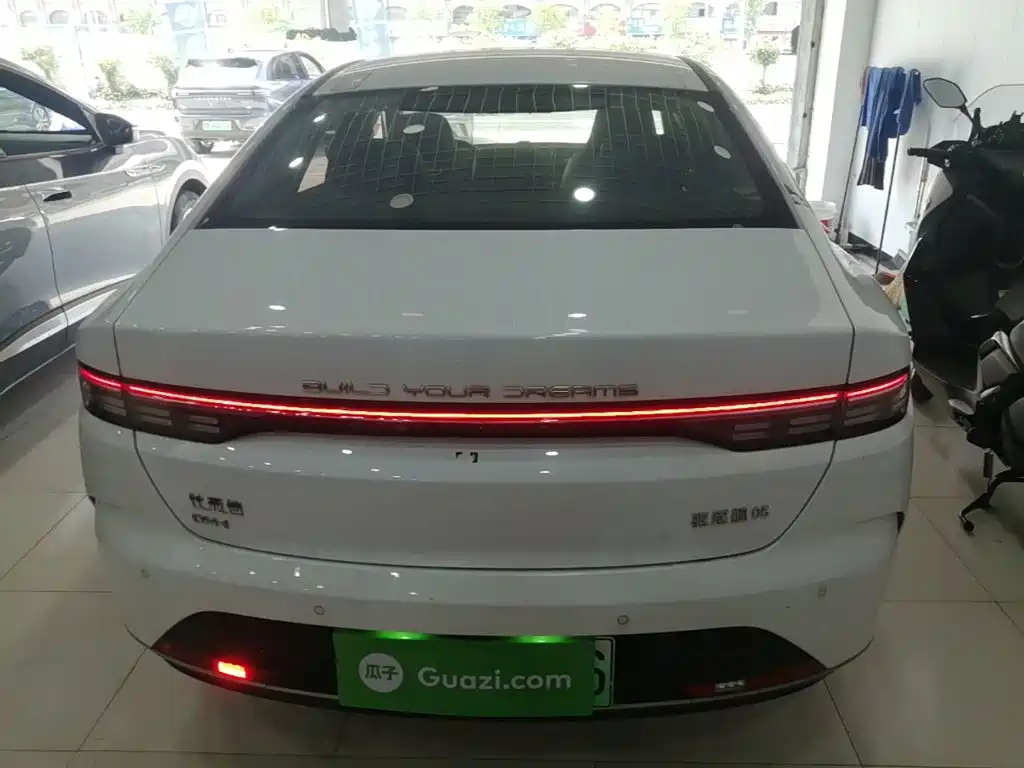 BYD Destroyer 05 2023 Champion DM-i 55KM Luxury