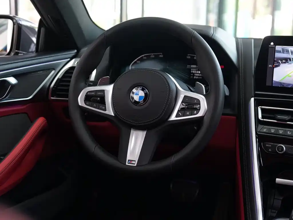 BMW 8 Series — миниатюра 10