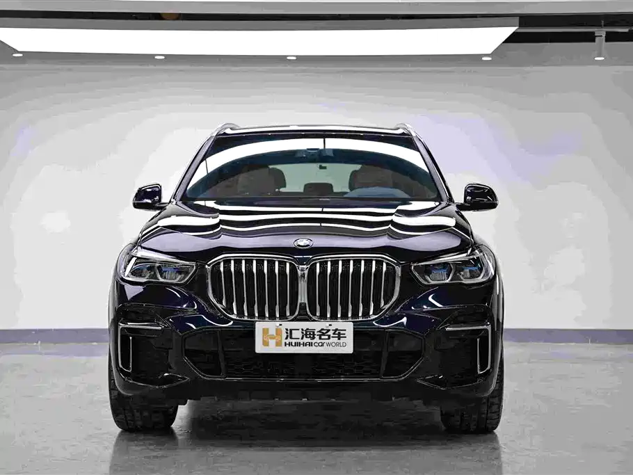 BMW X5 — миниатюра 2
