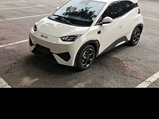 2025 BYD Seagull