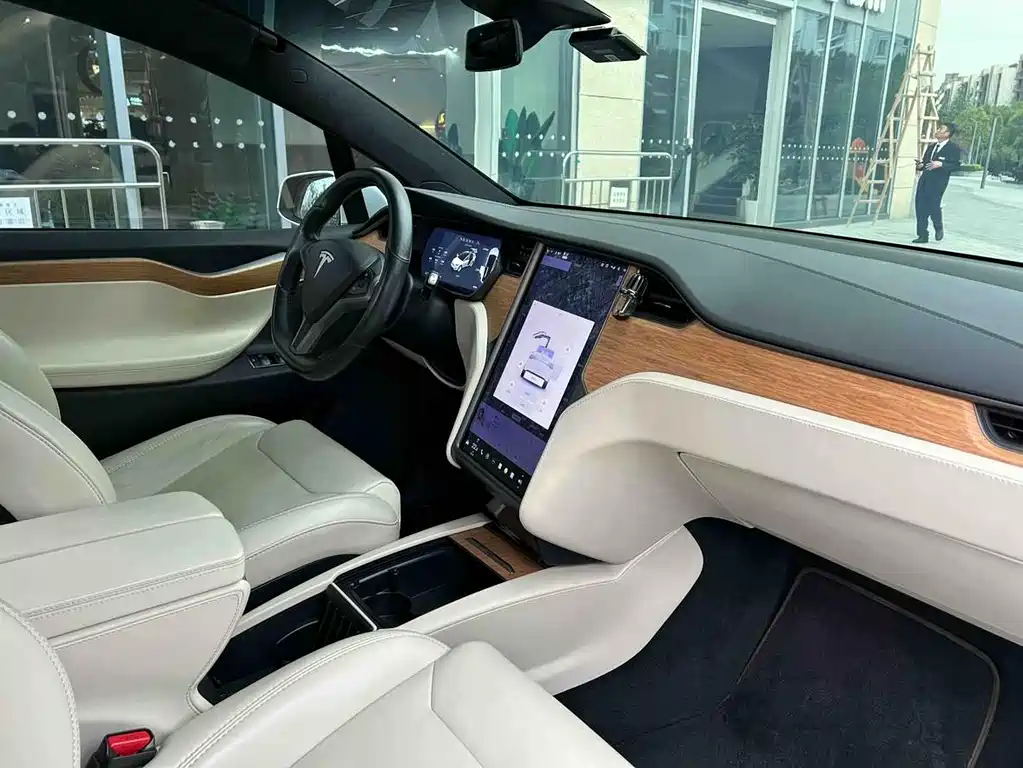 Tesla Model X 2017 Model X 100D