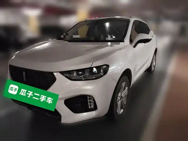 2019 Wey VV5