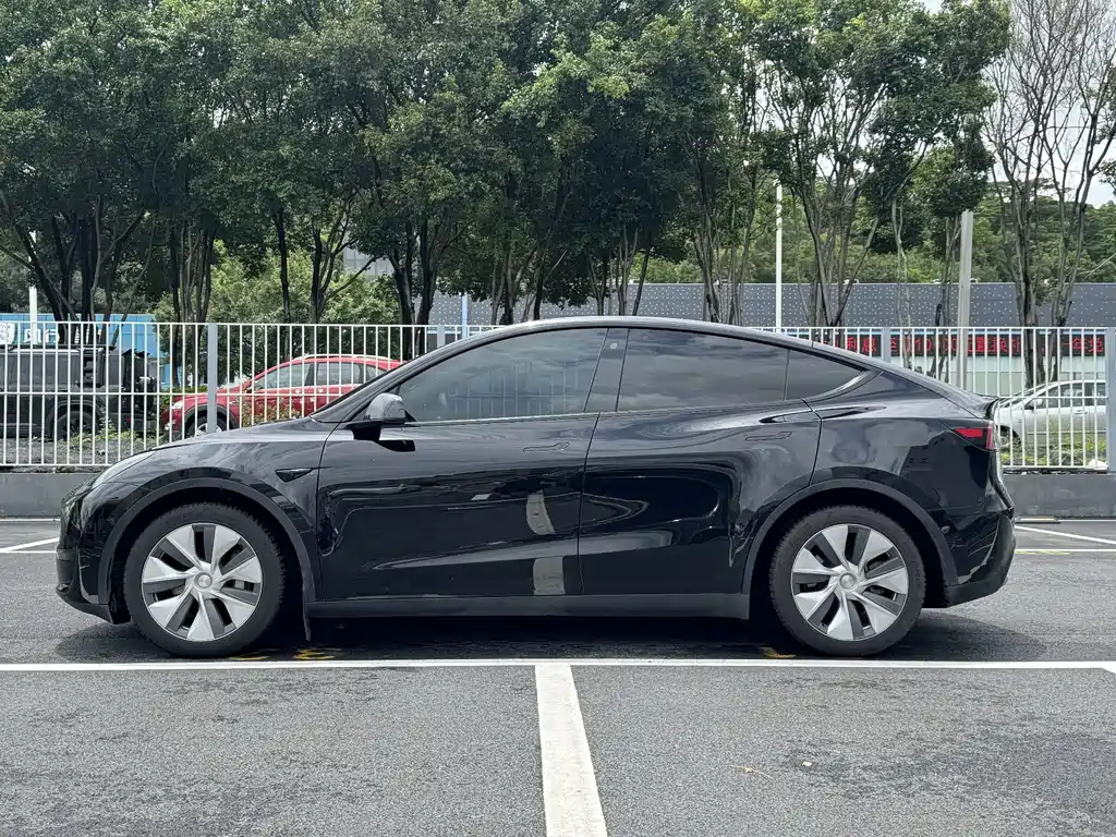 Tesla Model Y — миниатюра 16
