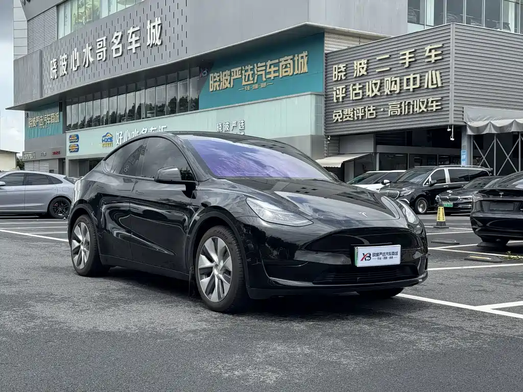 Tesla Model Y — миниатюра 2