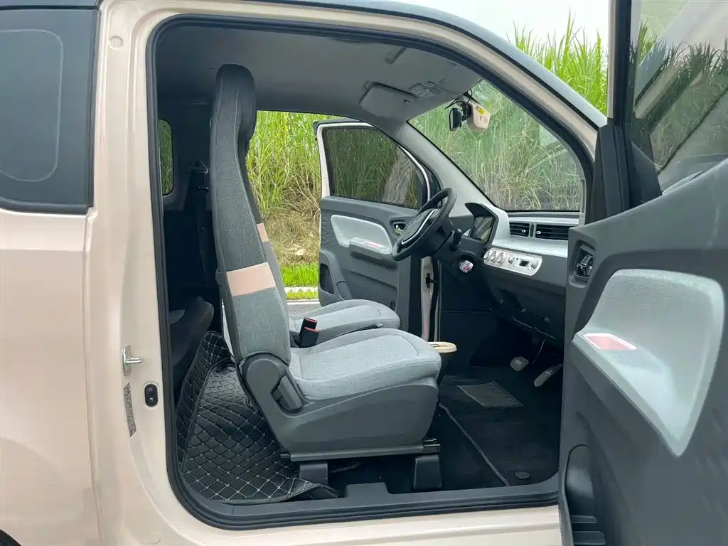 Wuling Mini EV MINIEV 2022 Enjoy