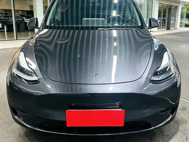 Tesla Model Y — миниатюра 2