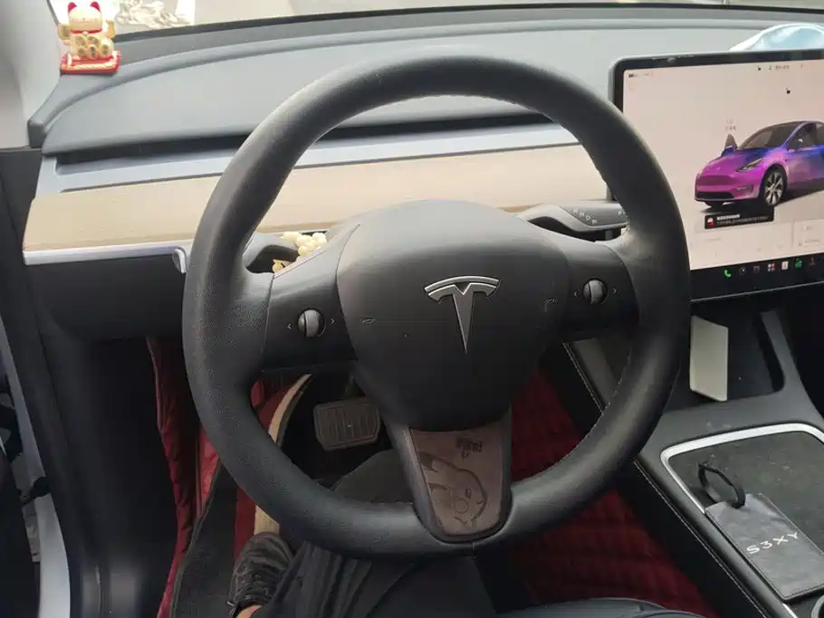 Tesla Model Y — миниатюра 15
