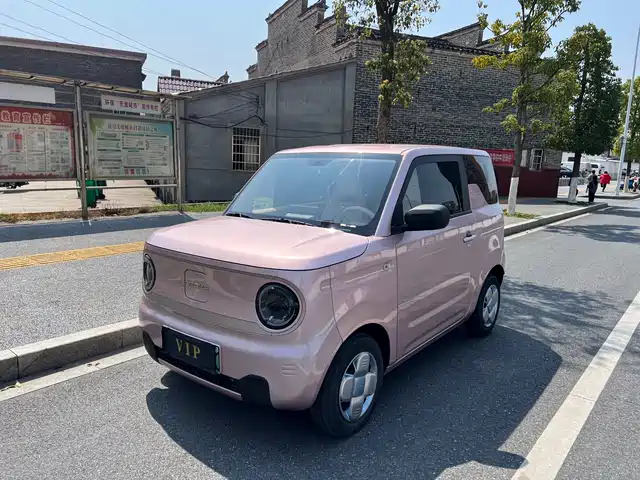 GEELY GALAXY PANDA 2023