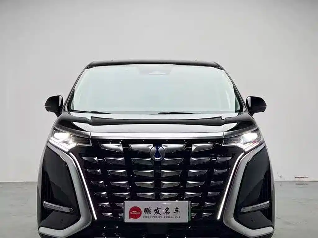 Denza Denza D9 — миниатюра 2