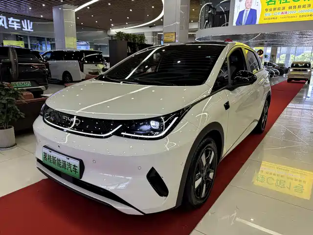 2025 BYD Dolphin