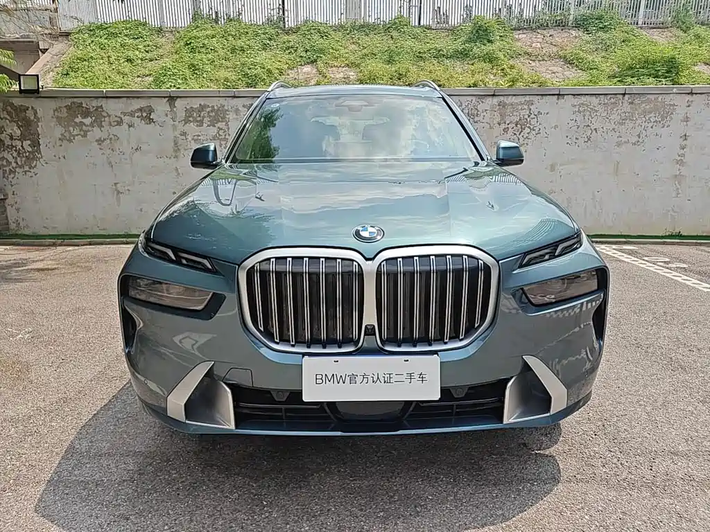 BMW X7 — миниатюра 2