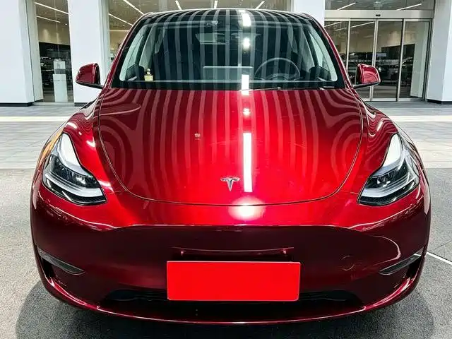 Tesla Model Y — миниатюра 2
