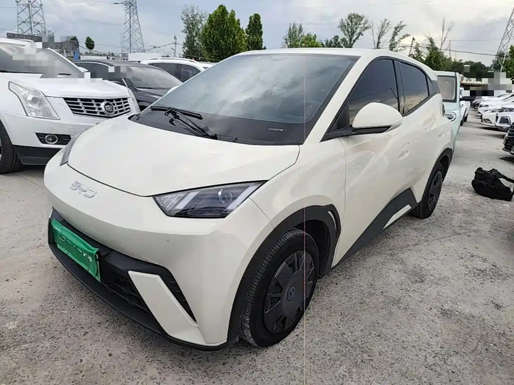 BYD Seagull