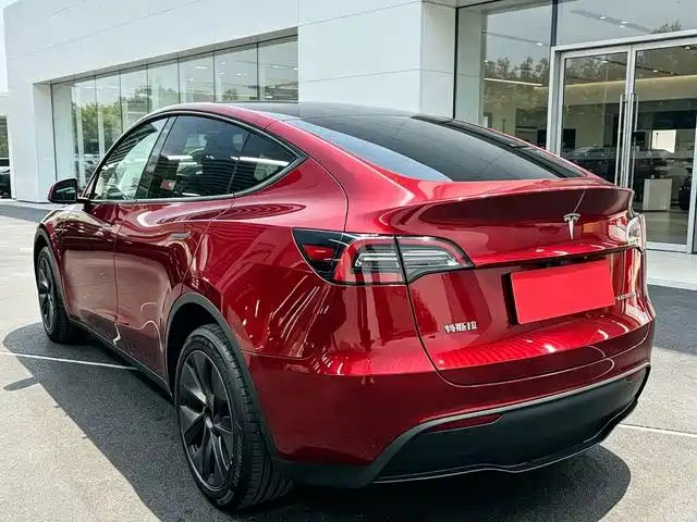 Tesla Model Y — миниатюра 6