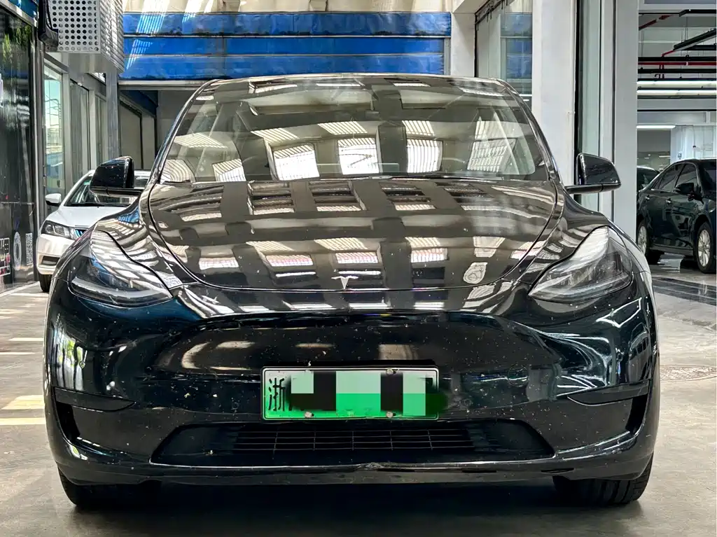 Tesla Model Y — миниатюра 2