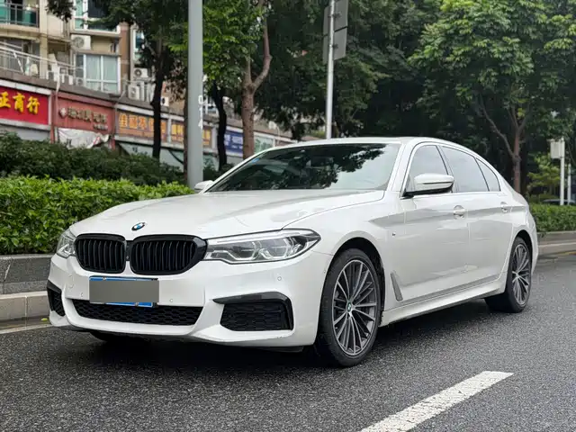 2019 BMW 5er