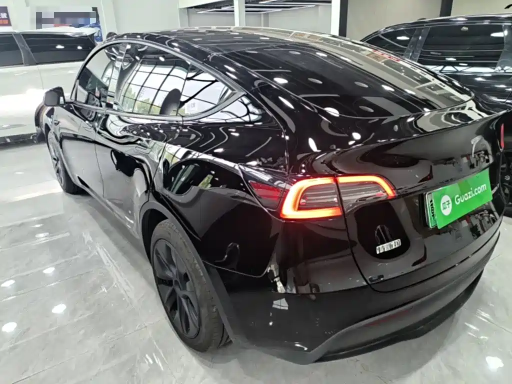 Tesla Model Y — миниатюра 5