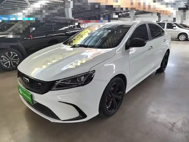 2021 Geely Binrui