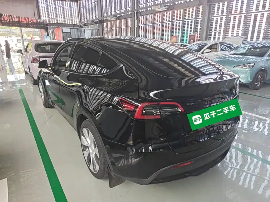 Tesla Model Y — миниатюра 5