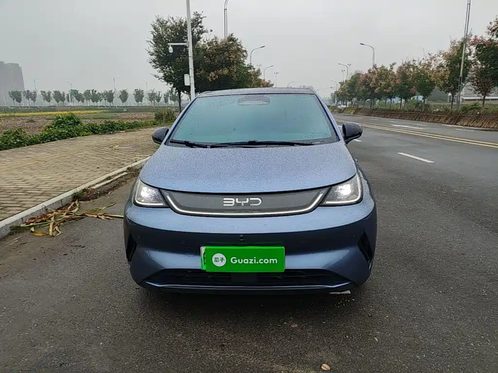 BYD Dolphin — миниатюра 3