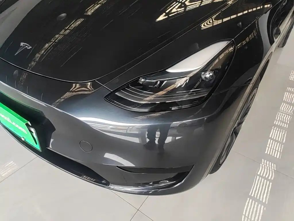 Tesla Model Y — миниатюра 24