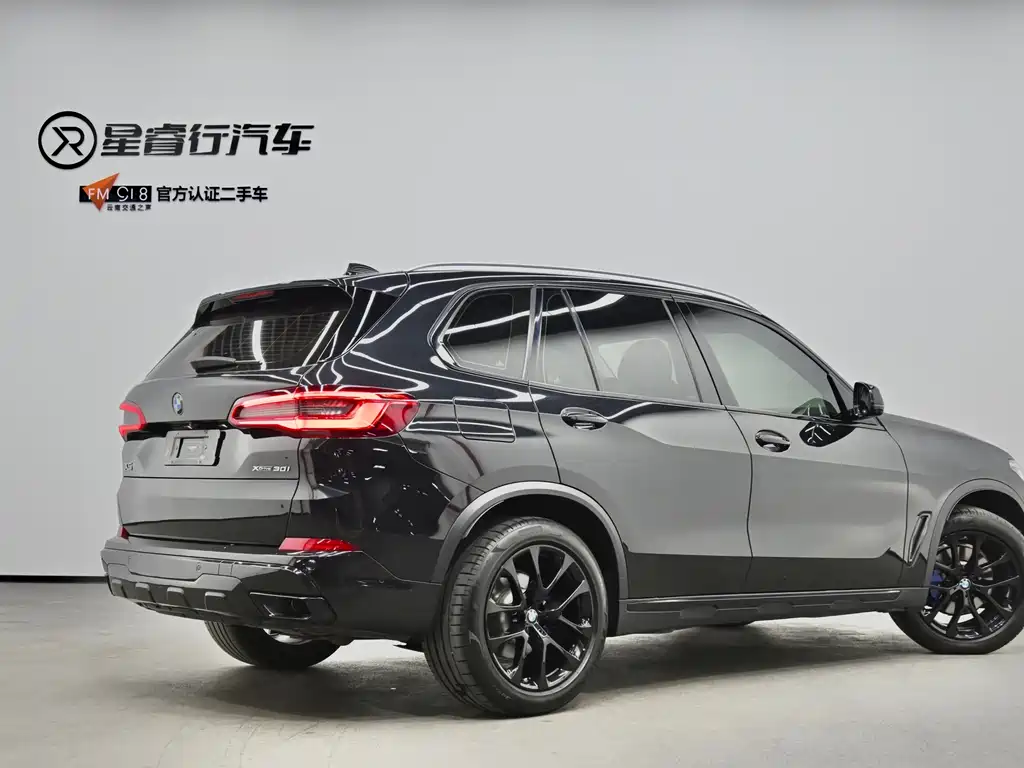 BMW X5 (Import) — миниатюра 3
